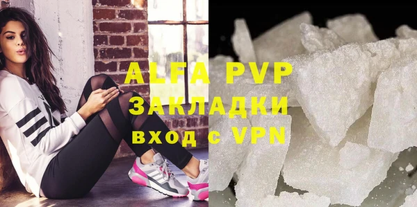 ECSTASY Горняк