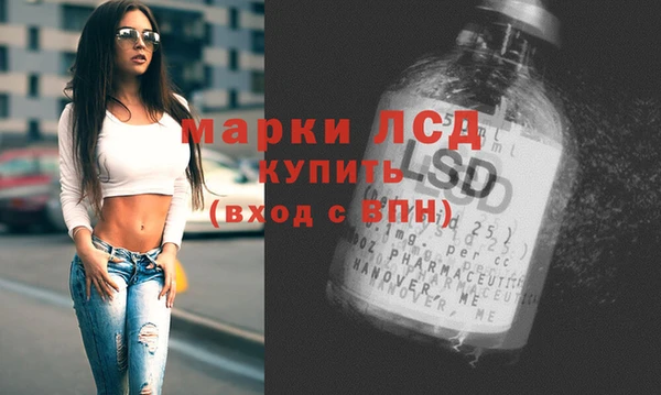 ECSTASY Горняк