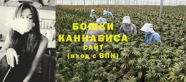 ECSTASY Горняк