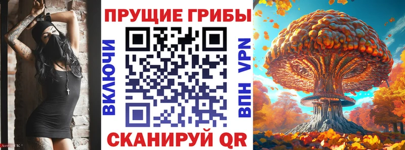 Галлюциногенные грибы Cubensis  как найти наркотики  Грайворон 
